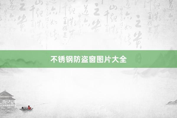 不锈钢防盗窗图片大全