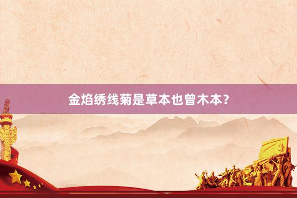 金焰绣线菊是草本也曾木本？