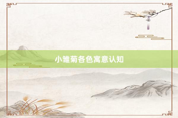 小雏菊各色寓意认知