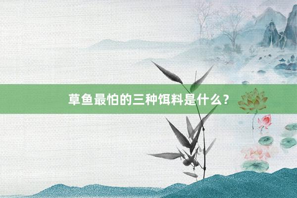草鱼最怕的三种饵料是什么?